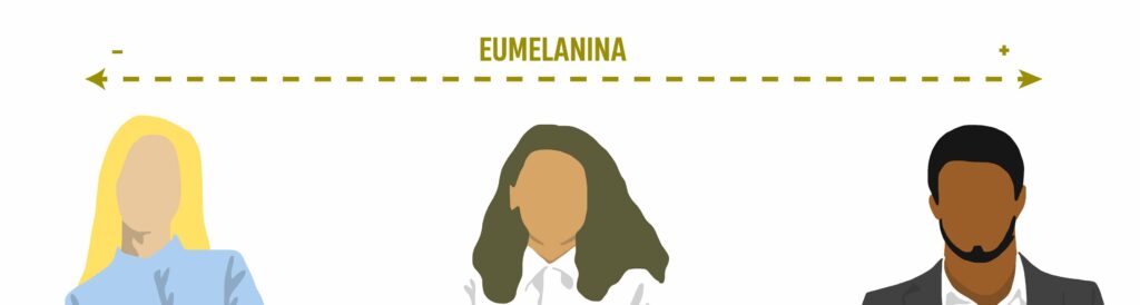 Tipos de cabello según concentración eumelanina